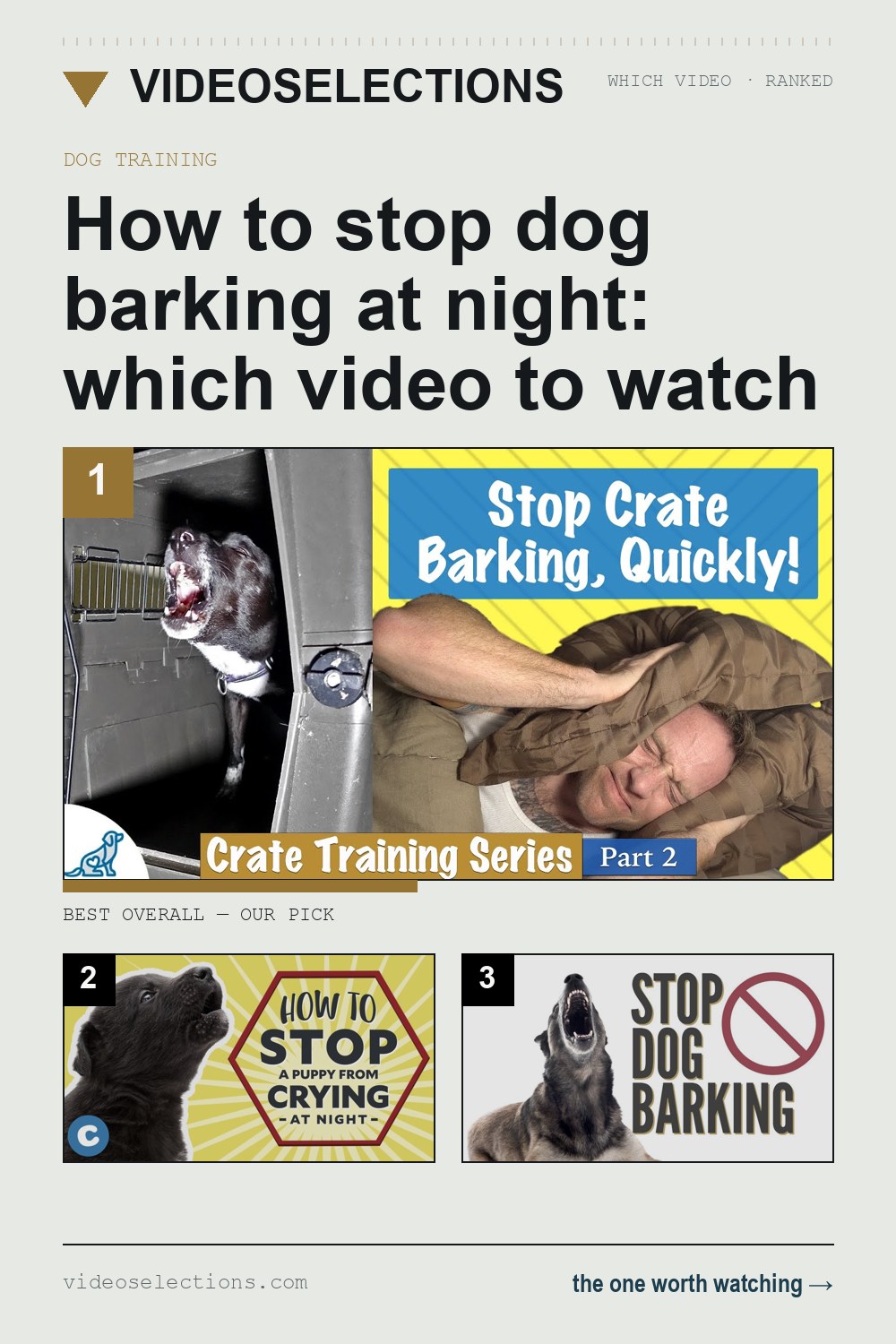 How to stop dog barking at night: which video to watch