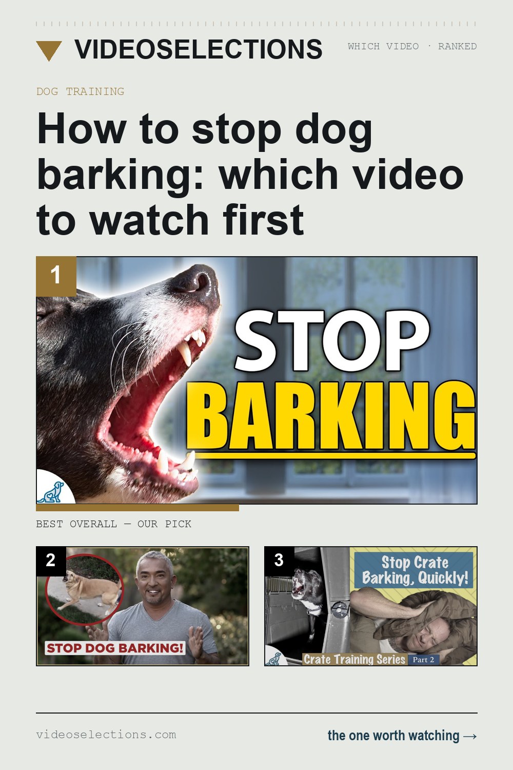 How to stop dog barking: which video to watch first